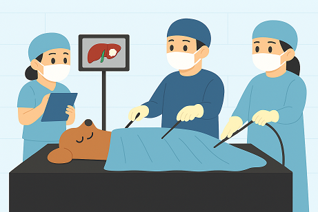 犬の腹腔鏡のイラスト