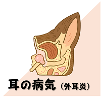 犬の外耳炎の案内アイコン