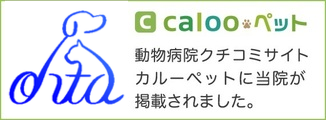 calooのロゴ