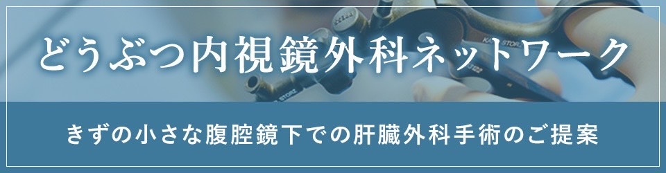 どうぶつ内視鏡外科ネットワークのバナー