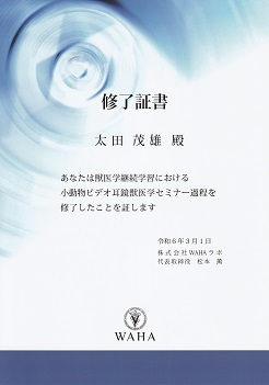小動物ビデオ耳鏡獣医学セミナー過程 修了証書